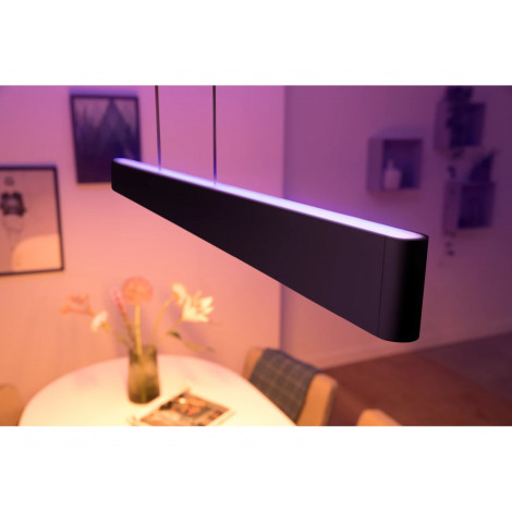 Philips Hue Ensis pendant black 79W 24V | 79 W | White and Colour Ambiance 2000-6500K