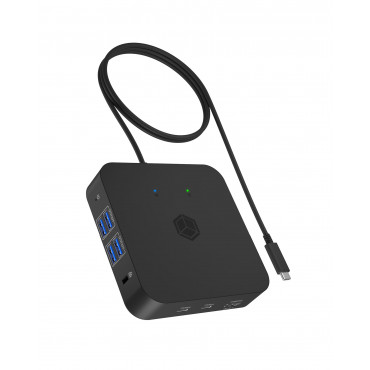 ICY BOX IB-DK4090-C 12-in-1...