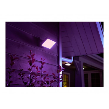 Philips Hue WCA Discover Outdoor Floodlight | 2000-6500 Hue White Colour Ambiance