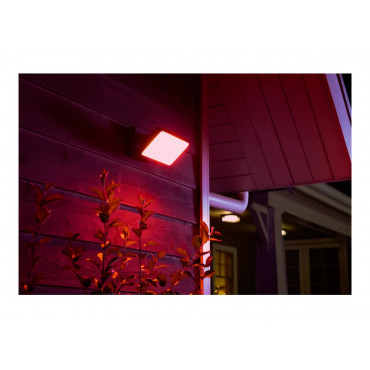 Philips Hue WCA Discover Outdoor Floodlight | 2000-6500 Hue White Colour Ambiance