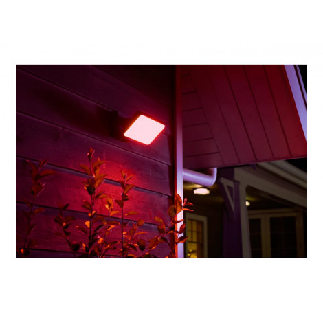 Philips Hue WCA Discover Outdoor Floodlight | 2000-6500 Hue White Colour Ambiance