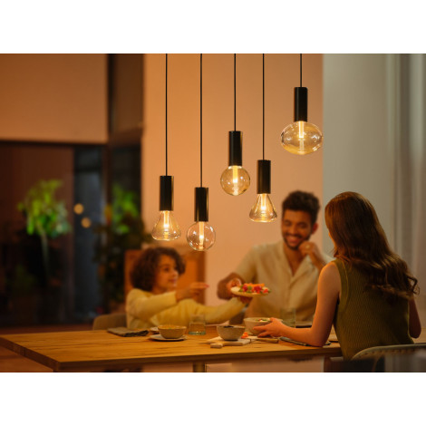 Philips Hue WCA Lightguide G95 | E27 | 6.8 W | White and colour light