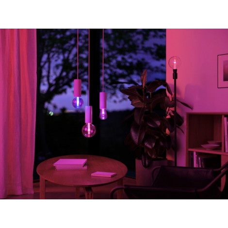 Philips Hue WCA Lightguide ST72 | E27 | 6.8 W | White and colour light