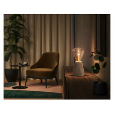 Philips Hue WCA Lightguide Triangle | E27 | 6.8 W | White and colour light