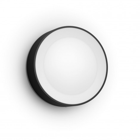 Philips Hue WCA Daylo Outdoor Wall Lantern, Black | 15 W | 2000-6500 Hue White Colour Ambiance