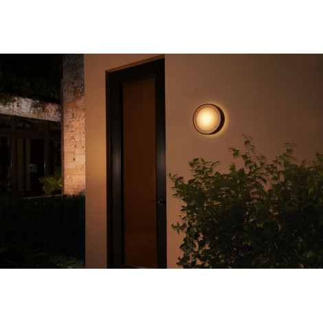 Philips Hue WCA Daylo Outdoor Wall Lantern, Black | 15 W | 2000-6500 Hue White Colour Ambiance