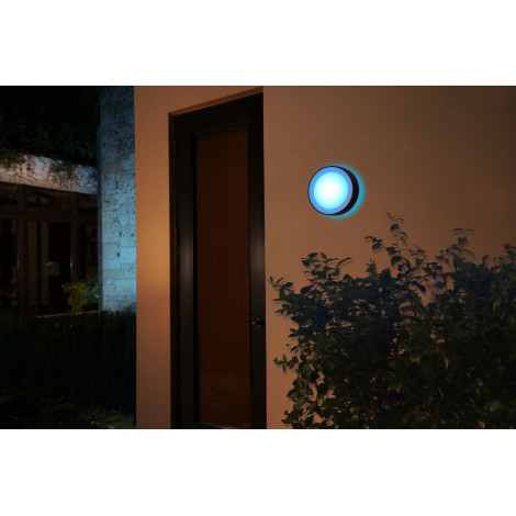 Philips Hue WCA Daylo Outdoor Wall Lantern, Black | 15 W | 2000-6500 Hue White Colour Ambiance