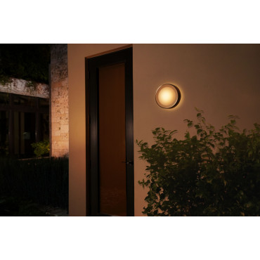 Philips Hue WCA Daylo Outdoor Wall Lantern, Inox | 15 W | 2000-6500 Hue White Colour Ambiance