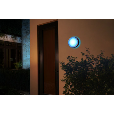 Philips Hue WCA Daylo Outdoor Wall Lantern, Inox | 15 W | 2000-6500 Hue White Colour Ambiance