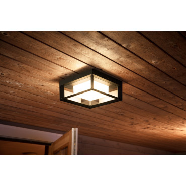 Philips Hue WCA Econic Outdoor Square Wall Lantern | 15 W | 2000-6500 Hue White Colour Ambiance