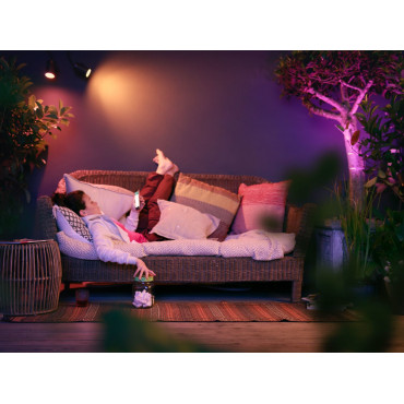 Philips Hue WCA Lily Outdoor Spot Light Base 24V | 8 W | 2200-6500 BBL CCT range