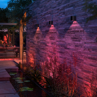 Philips Hue WCA Resonate Outdoor Downward Wall Lantern, Black | 8 W | 2000-6500 Hue White Colour Ambiance