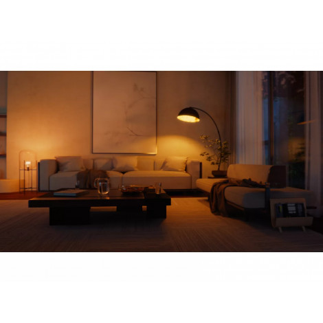 Philips Hue WCA A60 E27 2KIT SW Pro EU | E27 | White and colored light