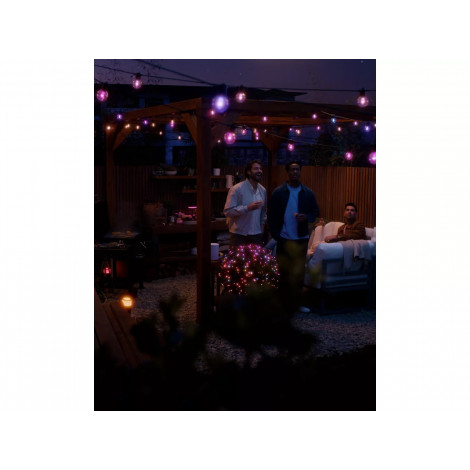 Philips Hue Festavia Globe Outdoor String Lights, 7m Extension | 30 W | Bluetooth, Zigbee