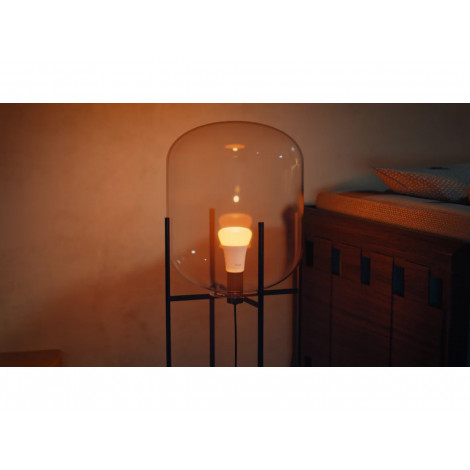 Philips Hue WCA 1100 A60 1P EU | E27 | 8.1 W | White and colour light | Bluetooth and Zigbee