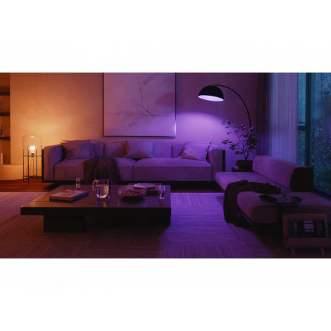Philips Hue WCA 1100 A60 2P EU | E27 | 8.1 W | White and colour light | Bluetooth and Zigbee