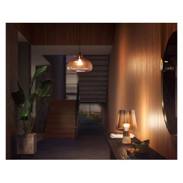 Philips Hue W 1600 A67 1P EU | E27 | 13.5 W | Soft white light | Bluetooth and Zigbee