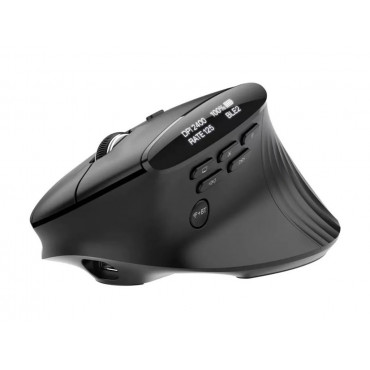 Acer Smart Fit Vertical Mouse, Retail pack | Wireless | Bluetooth | Black