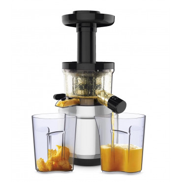 TEFAL | Juicer | ZC420E38 Juice & Clean | Type Juicer maker | Silver/Black | 150 W | Number of speeds 4