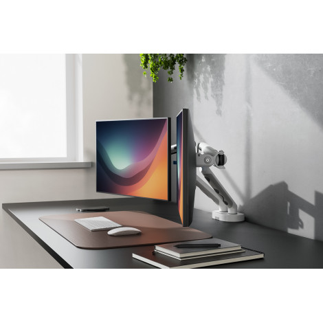 Digitus Desk Mount | Tilt, rotation, pivot | Dual design monitor mount, 2x 35", 2x 10 kg | 35 " | Maximum weight (capacity) 20 k