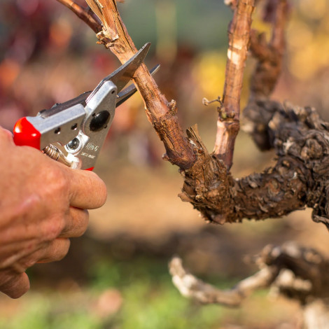 Felco | One-hand pruning shear | FELCO 6