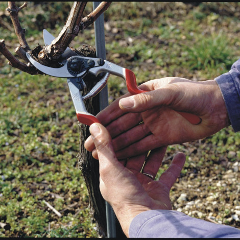 Felco | One-hand pruning shear | FELCO 13