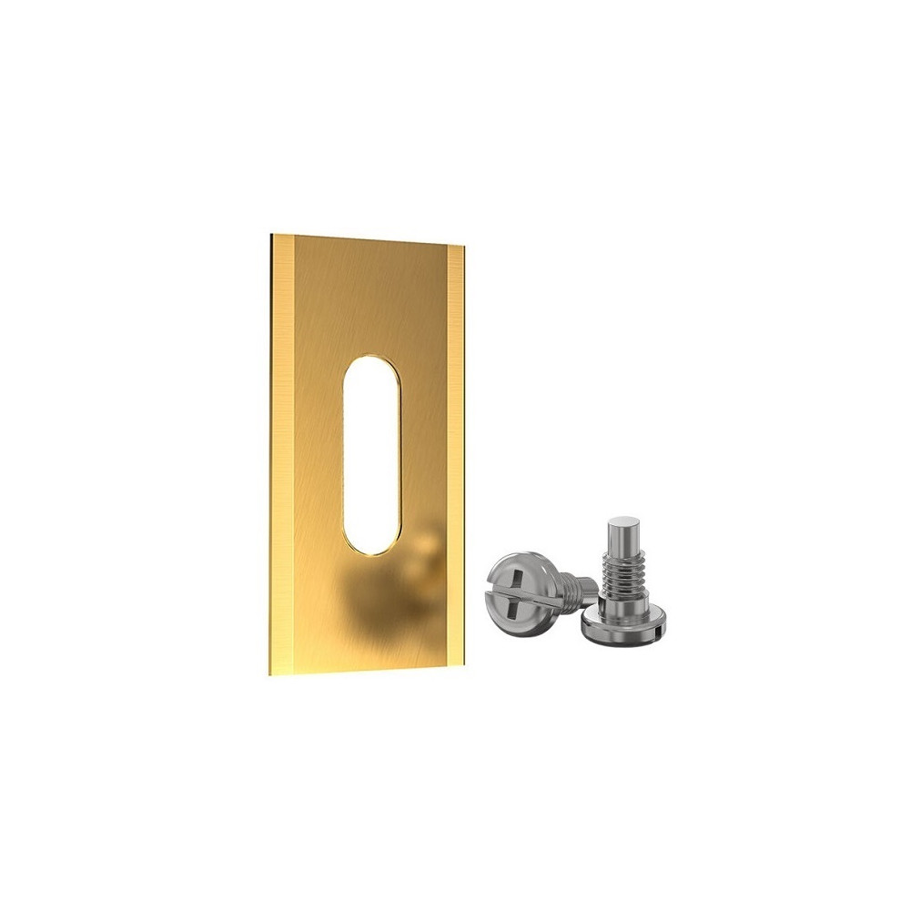 Automatinės vejapjovės peiliukai, 35x18x0.6 mm, padengti titanu, 30vnt.