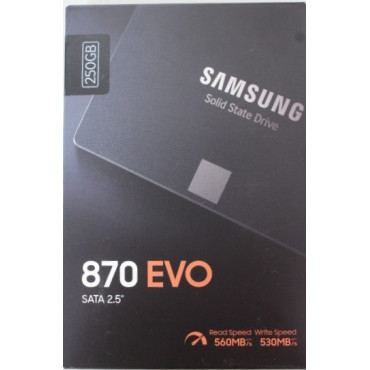 SALE OUT. Samsung SSD 870 EVO 250GB SATA III 2.5 inch | SALE OUT. Samsung | SSD | 870 EVO | 250 GB | SSD form factor 2.5" | Soli