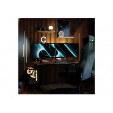 Arozzi Electric Standing Desk | Arena Nordico | Walnut