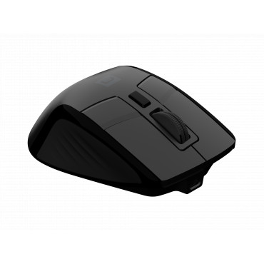 Natec Mouse | Jaguar Pro | Wireless | 2.4 GHz, Bluetooth | Black