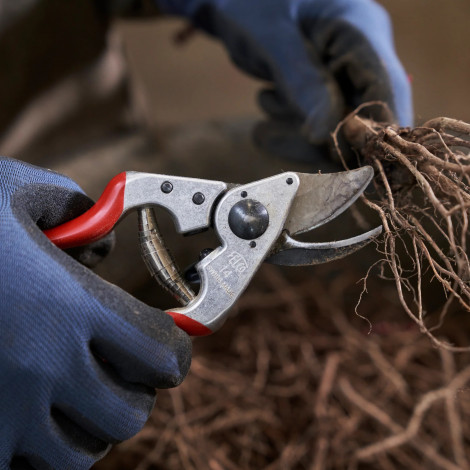 Felco | One-hand pruning shear | FELCO 14
