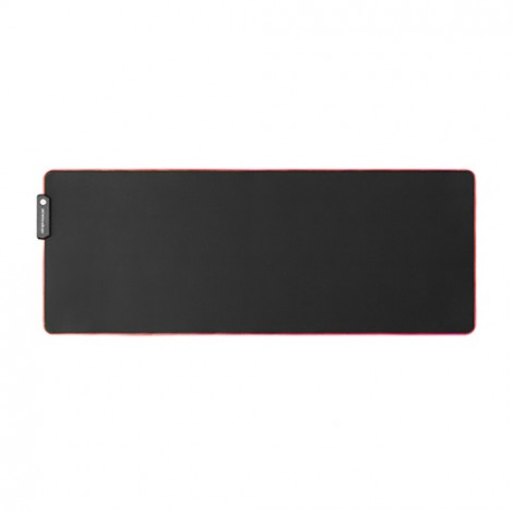 Didelis RGB pelės kilimėlis 800x300
