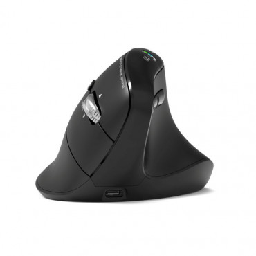 PORT CONNECT Mouse | ERGO AUDITOR | Wireless | Bluetooth, 2.4 GHz | Black