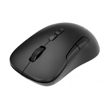 Gembird MUSW2-7B-01 Dual-mode 7-button wireless mouse, black | Gembird