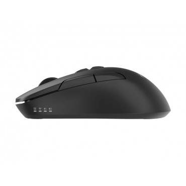 Gembird MUSW2-7B-01 Dual-mode 7-button wireless mouse, black | Gembird