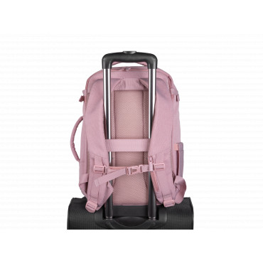 Natec Camel Lite | Fits up to size 15.6 " | Backpack | Pink