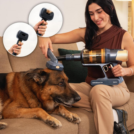 Cecotec Vacuum cleaner | Rockstar RX70 AquaPet Flex Conga | Cordless operating | Stick/handheld | 780 W | Operating time (max) 1