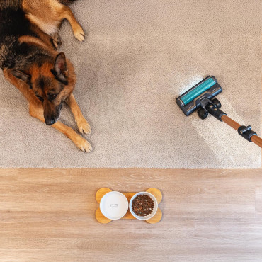 Cecotec Vacuum cleaner | Rockstar RX70 AquaPet Flex Conga | Cordless operating | Stick/handheld | 780 W | Operating time (max) 1
