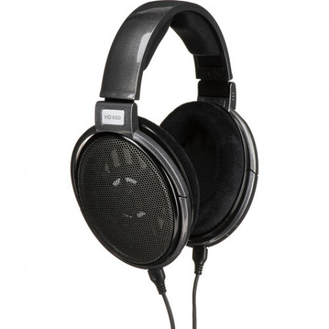 Sennheiser | Headphones | HD 650 | Wired | Over-Ear | Titan