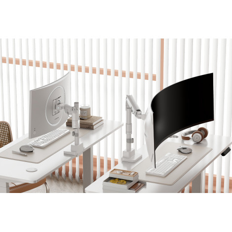 Digitus Desk Mount | DA-90476 Single Monitor Mount | Height, tilt, pivot, rotation, depth | 57 " | Maximum weight (capacity) 27 