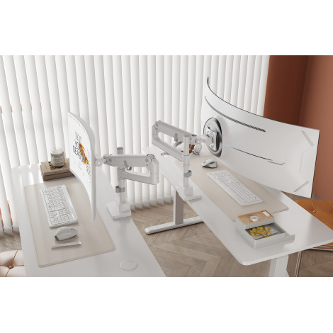 Digitus Desk Mount | DA-90476 Single Monitor Mount | Height, tilt, pivot, rotation, depth | 57 " | Maximum weight (capacity) 27 