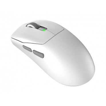 MSI Gaming Mouse | FORGE GM340 WIRELESS | Wireless | 2.4 GHz, Bluetooth, USB | White