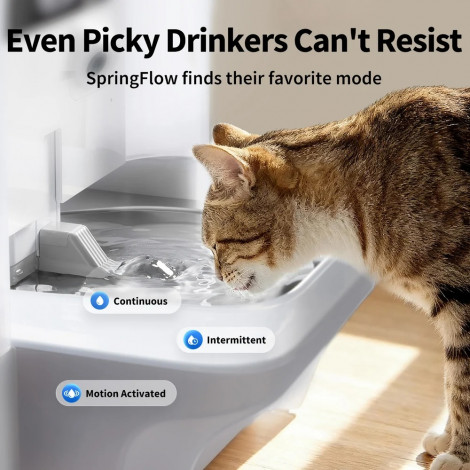 PETKIT Pet Water Fountain with Camera | EverSweet Ultra | Capacity 5 L | Material ABS, 304 Stainless Steel, PP, PPO | White