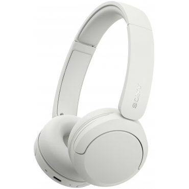 Sony WH-CH530 Wireless...