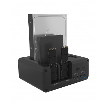 Raidsonic 4-bay Enclosure for 2x M.2 NVMe and 2x 2.5"/3.5" HDD/SSD | IB-2925MS-CU31