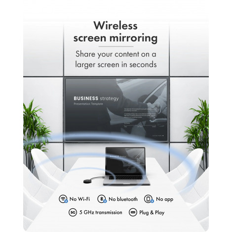 Raidsonic Wireless USB-C to HDMI Video Transmission System | IB-WL101