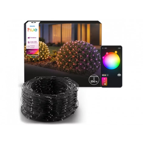 Philips Hue Festavia Net Lighting, 1 x 3.5 m, 250 LEDs, EU | White and color | Bluetooth, Zigbee