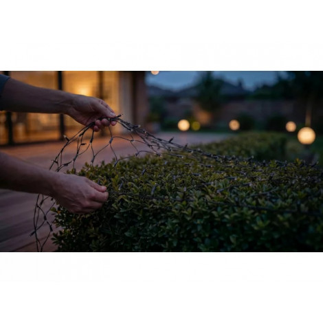Philips Hue Festavia Net Lighting, 1 x 3.5 m, 250 LEDs, EU | White and color | Bluetooth, Zigbee