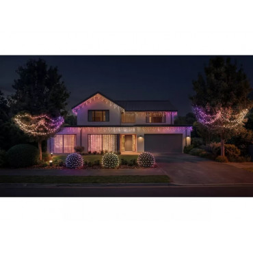 Philips Hue Festavia Net Lighting, 1 x 3.5 m, 250 LEDs, EU | White and color | Bluetooth, Zigbee