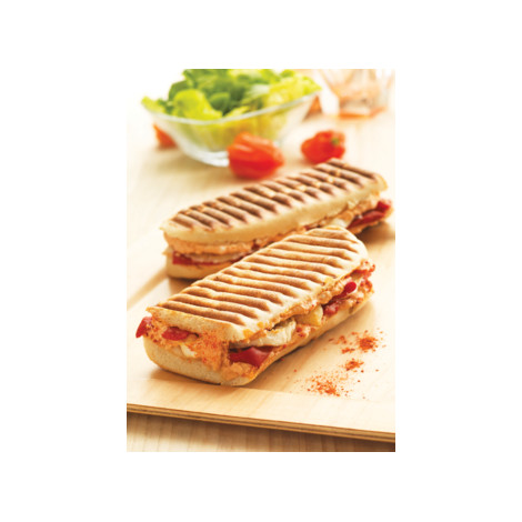 Tefal XA8103F0 2 Panini Plates
